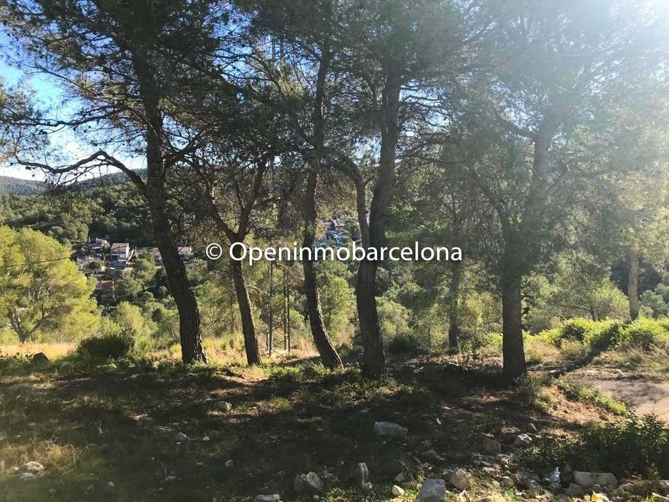 Tomt i Canyelles, Barcelona - bilde 1