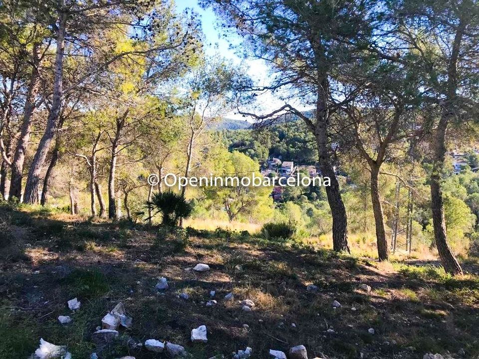 Tomt i Canyelles, Barcelona - bilde 4