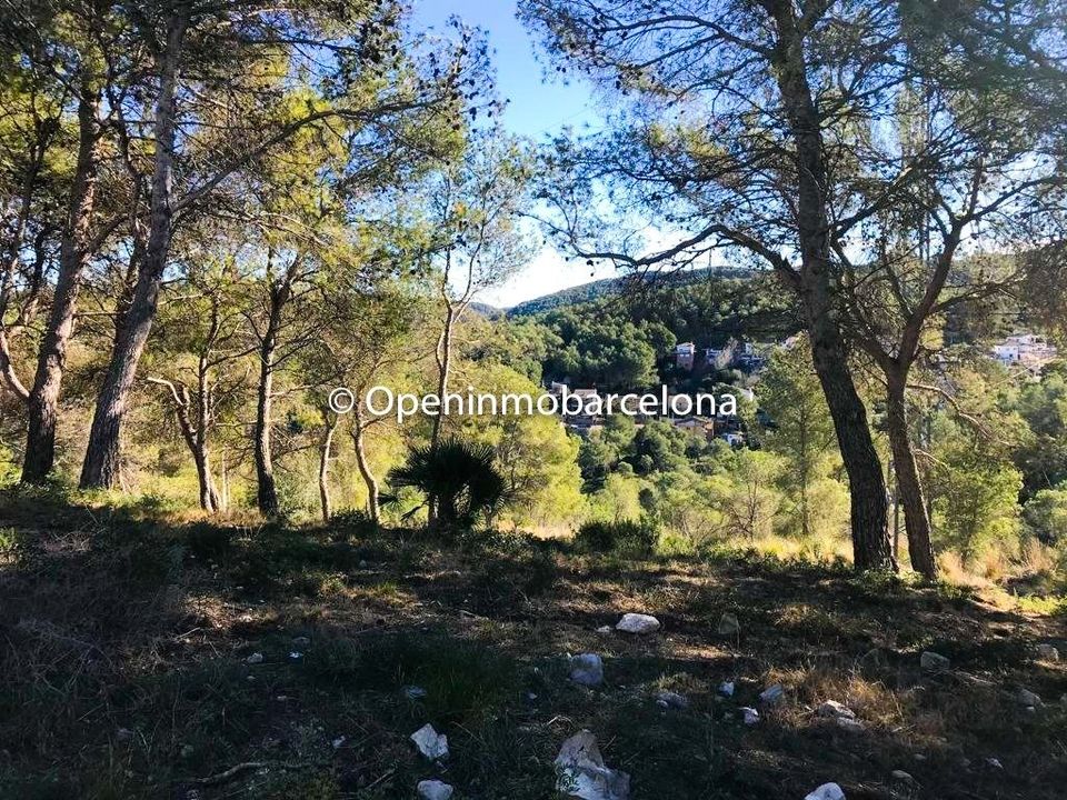 Tomt i Canyelles, Barcelona - bilde 5