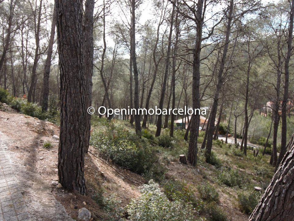 Helårsgrund i Olivella, Barcelona - foto 1