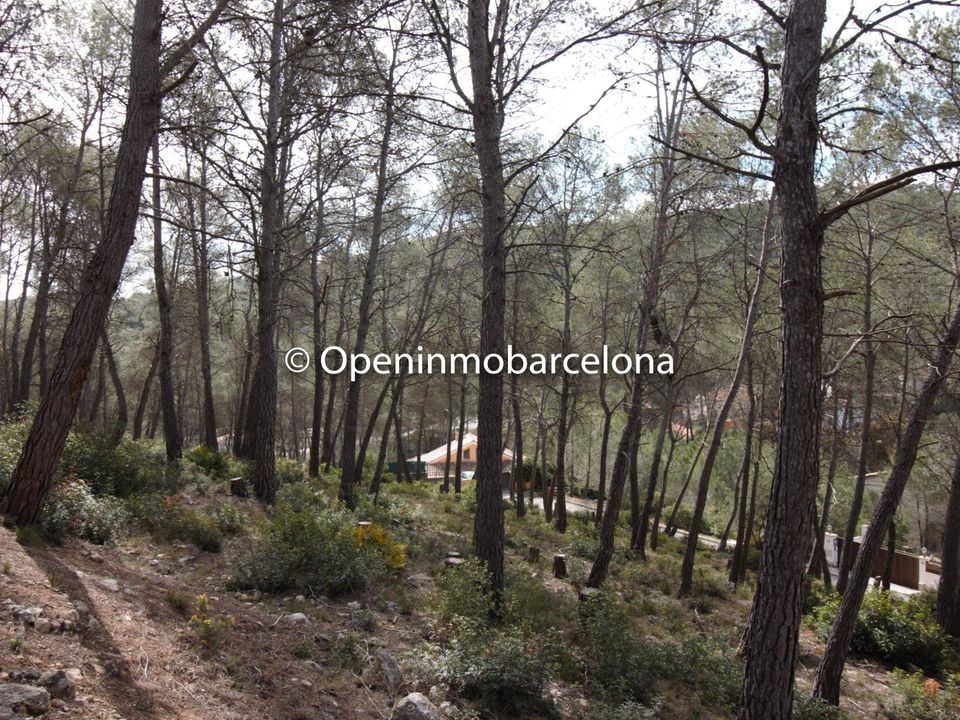 Helårsgrund i Olivella, Barcelona - foto 2