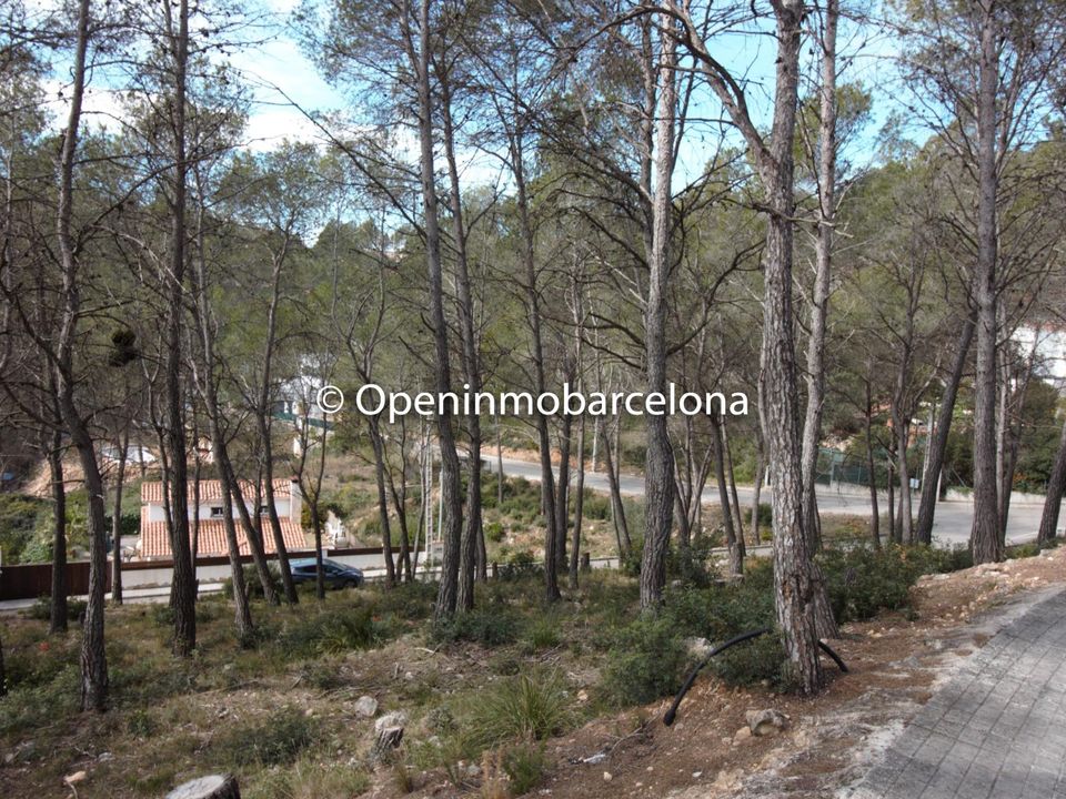 Helårsgrund i Olivella, Barcelona - foto 3
