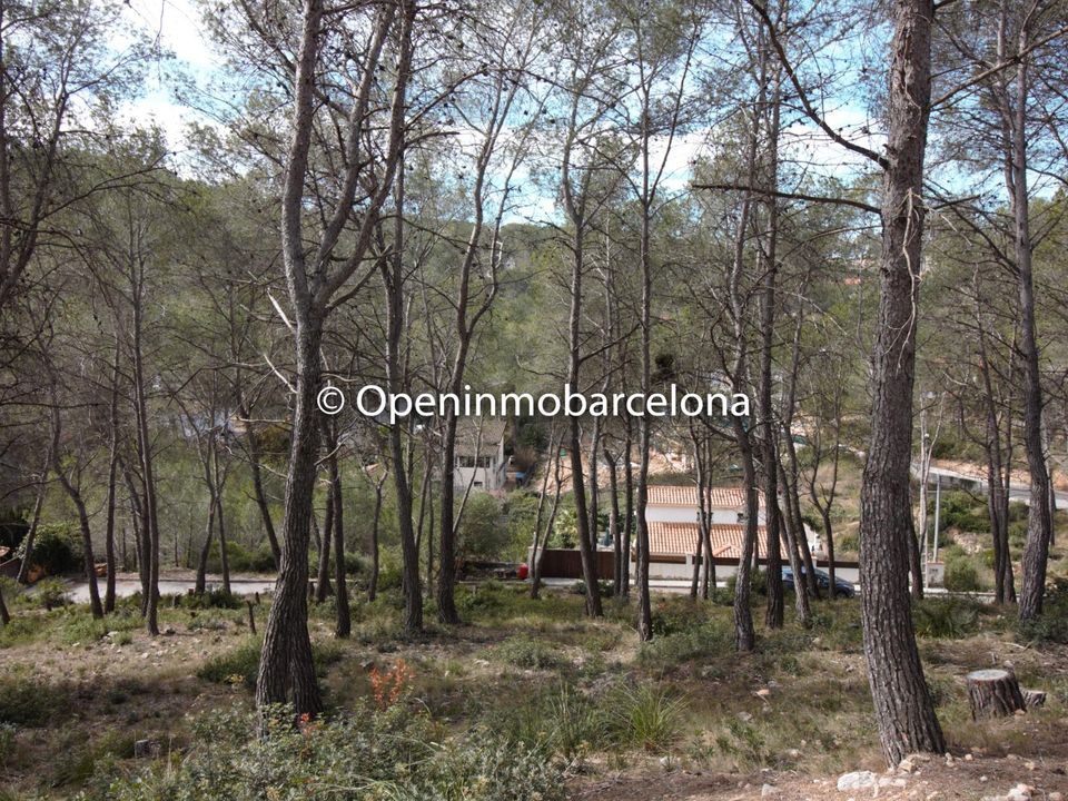 Helårsgrund i Olivella, Barcelona - foto 5