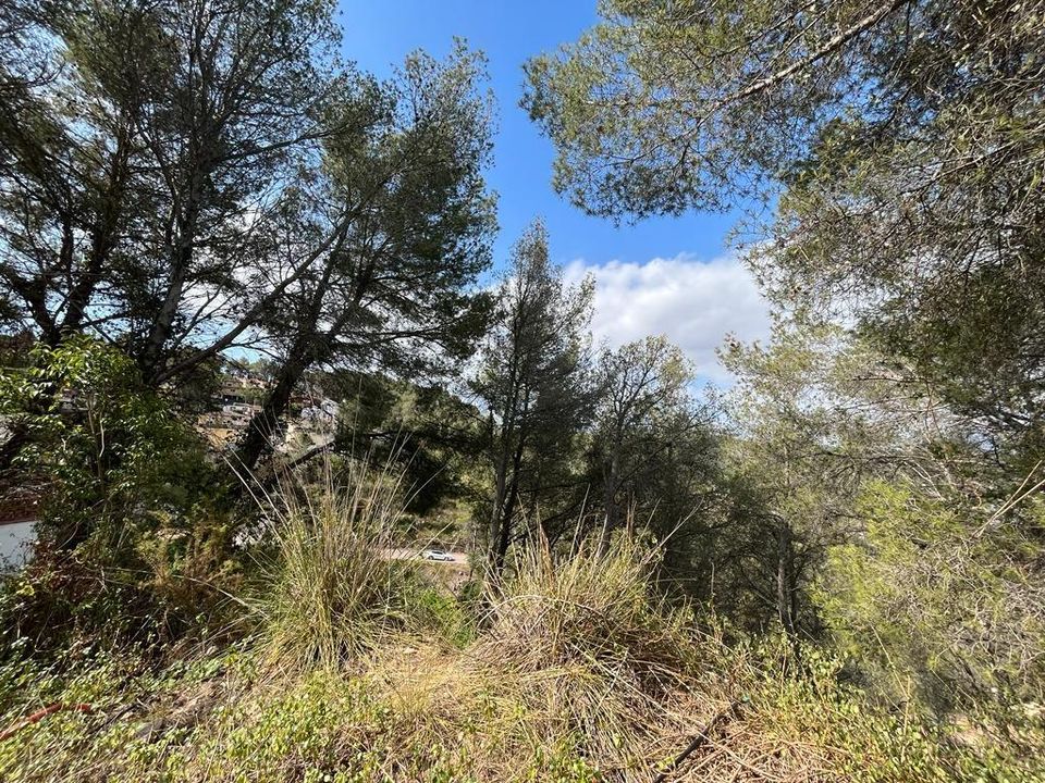 Helårsgrund i Olivella, Barcelona - foto 5