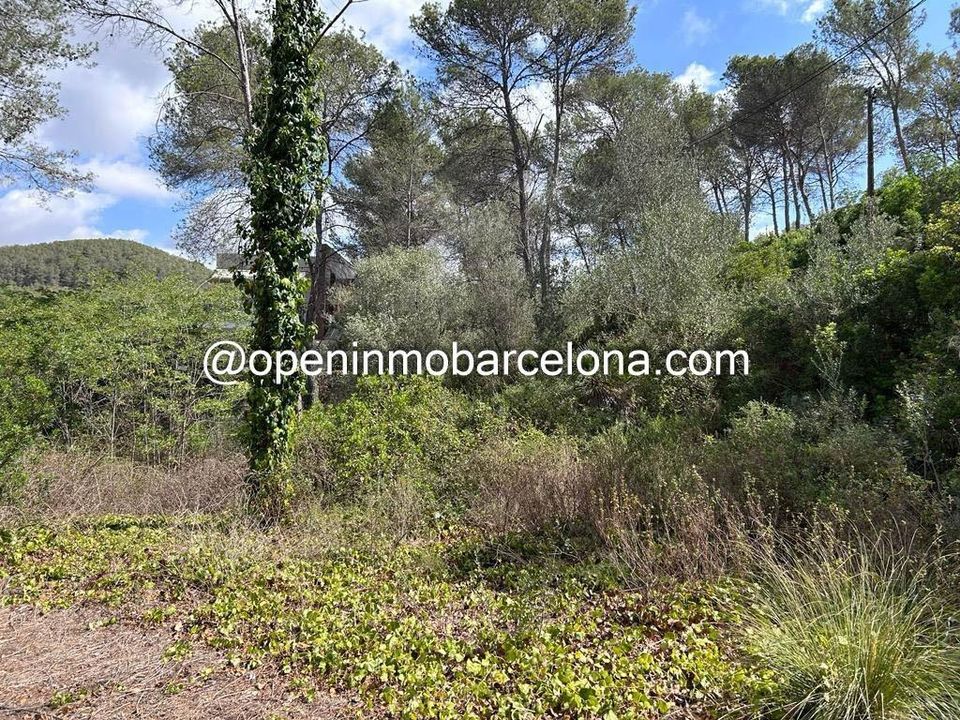 Helårsgrund i Olivella, Barcelona - foto 5