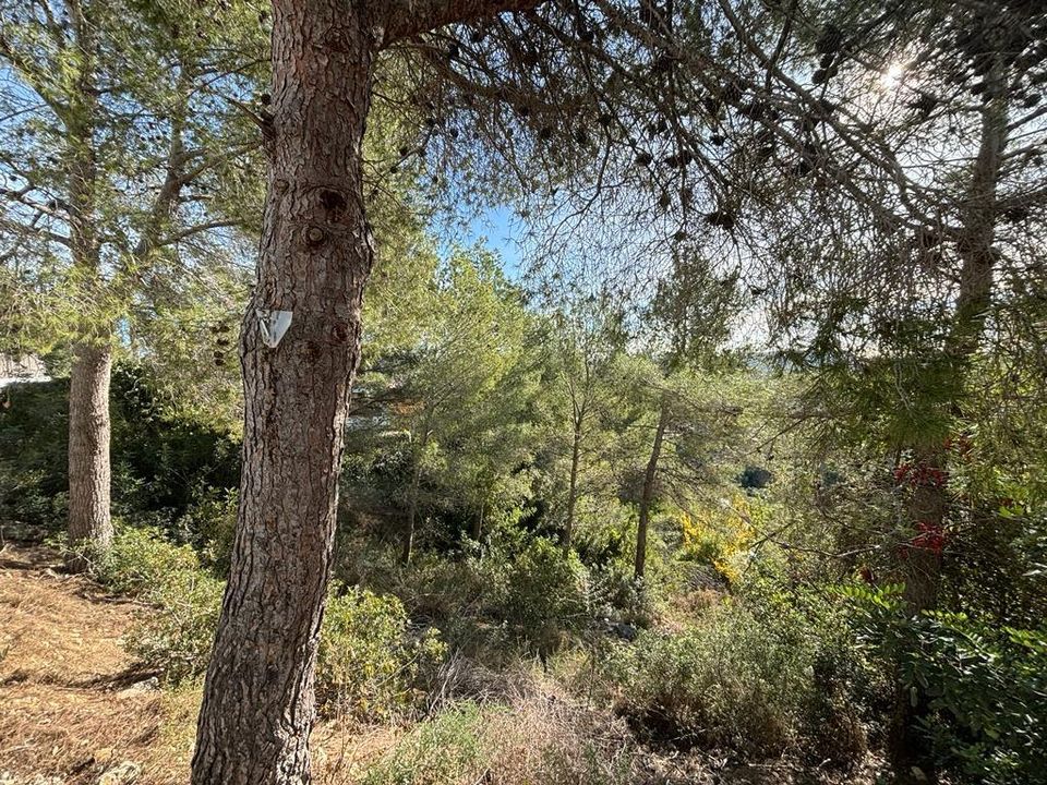 Helårsgrund i Olivella, Barcelona - foto 3