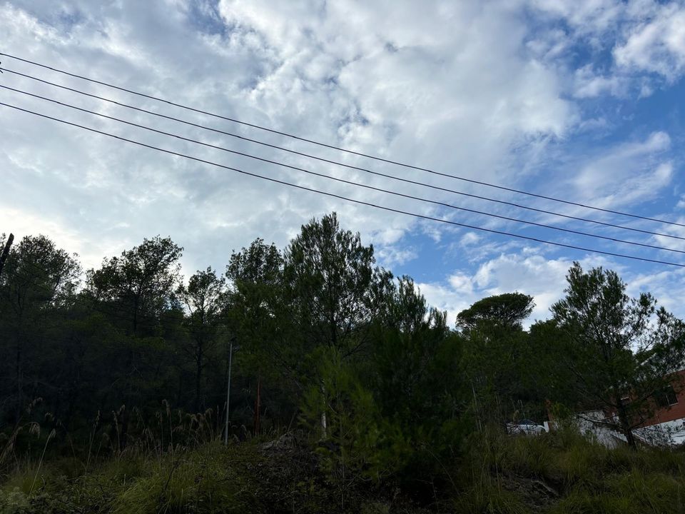 Tomt i Canyelles, Barcelona - bilde 5