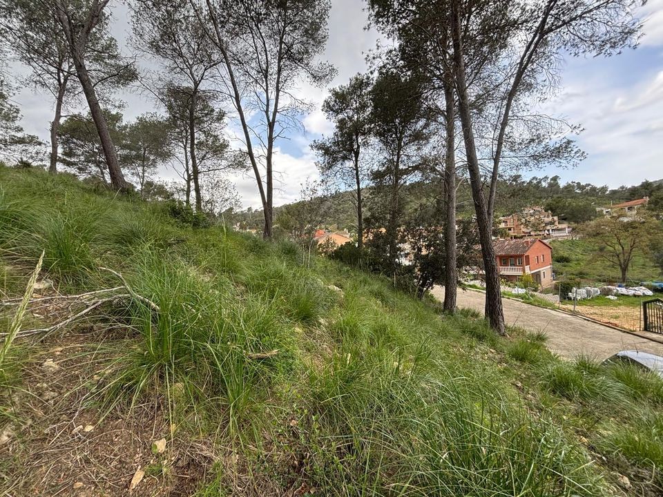 Tomt i Canyelles, Barcelona - bilde 2