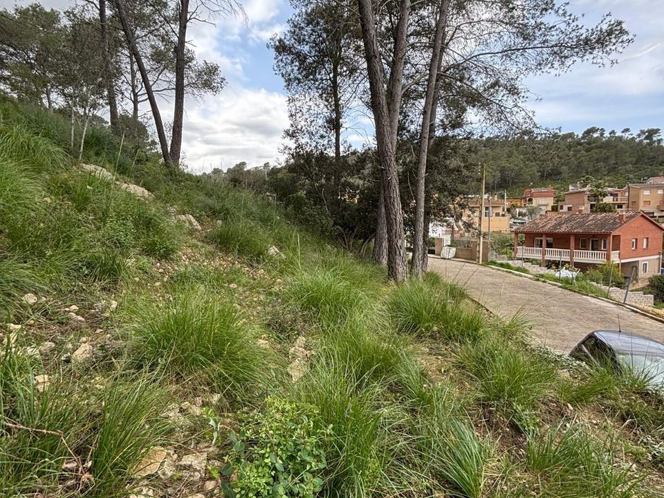 Tomt i Canyelles, Barcelona - bilde 4