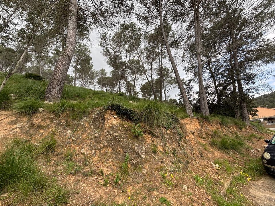 Tomt i Canyelles, Barcelona - bilde 5