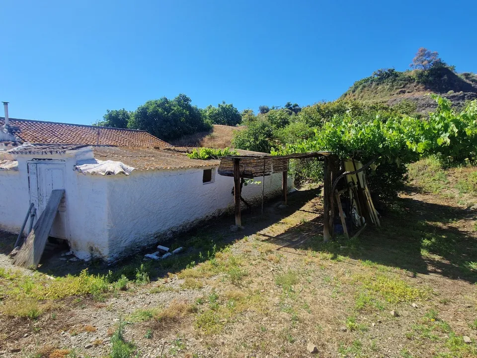 Landejendom i Benamocarra, Malaga - foto 4