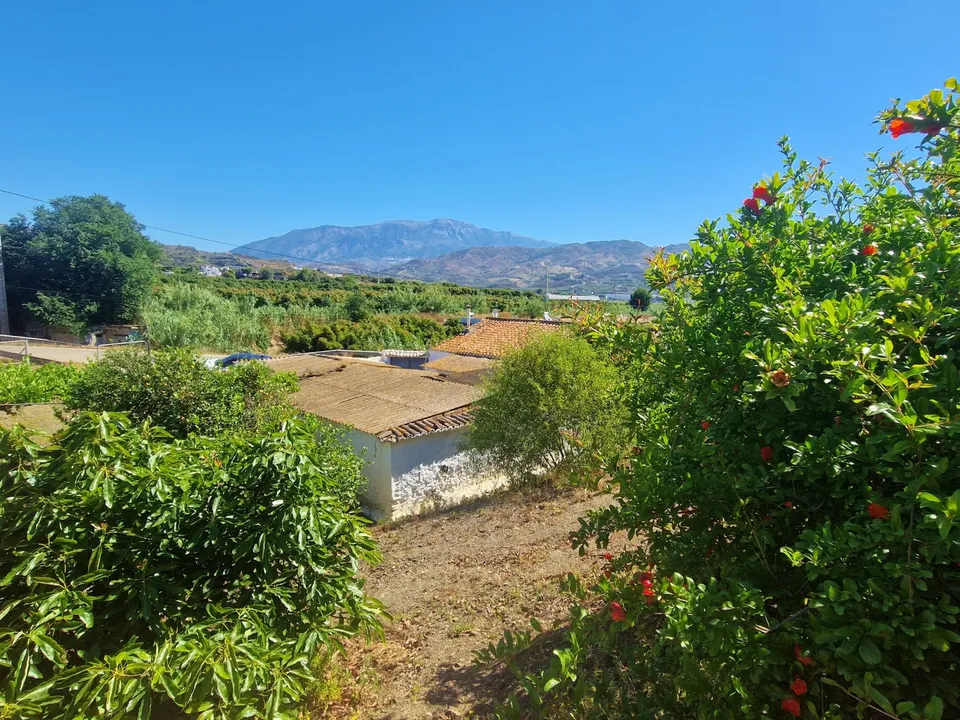 Landejendom i Benamocarra, Malaga - foto 2