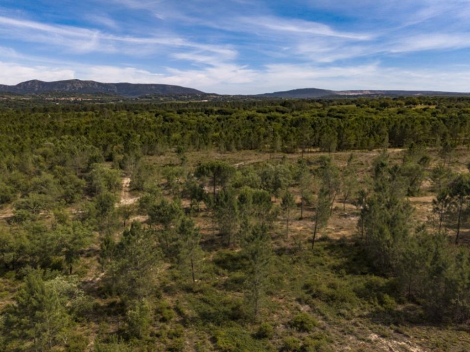 Helårsgrund i Quinta do Conde, Setubal - foto 2