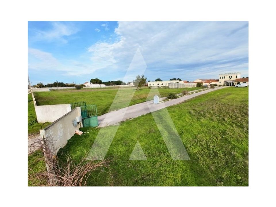 Farm i Palmela, Setubal - foto 4