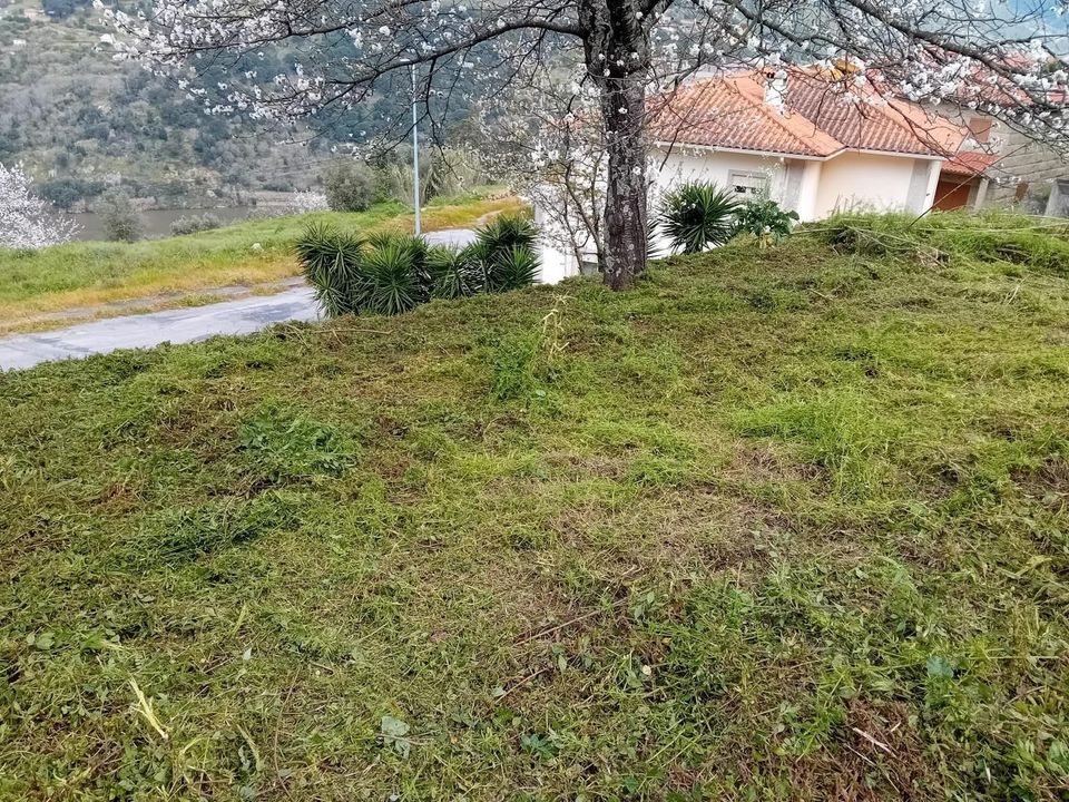 Lejlighed i Resende, Viseu - foto 3