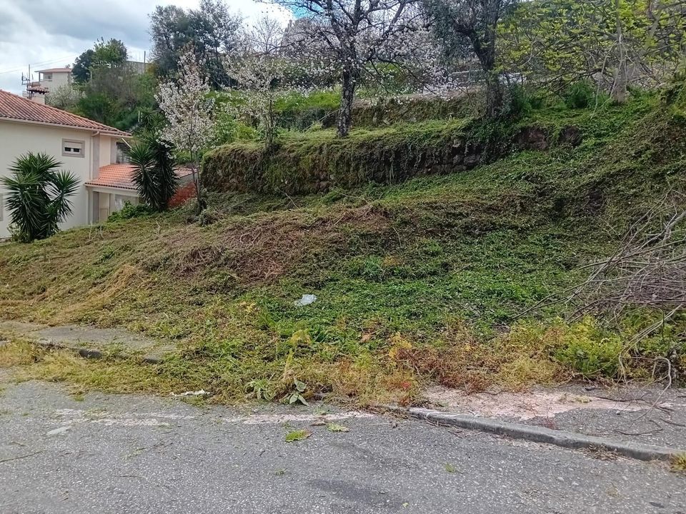 Lejlighed i Resende, Viseu - foto 4
