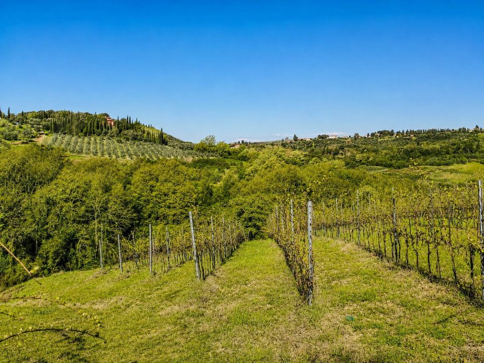 Herregård i Montespertoli, Florence - bilde 1