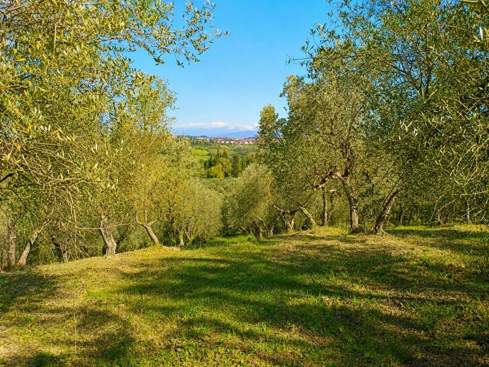 Herregård i Montespertoli, Florence - bilde 3
