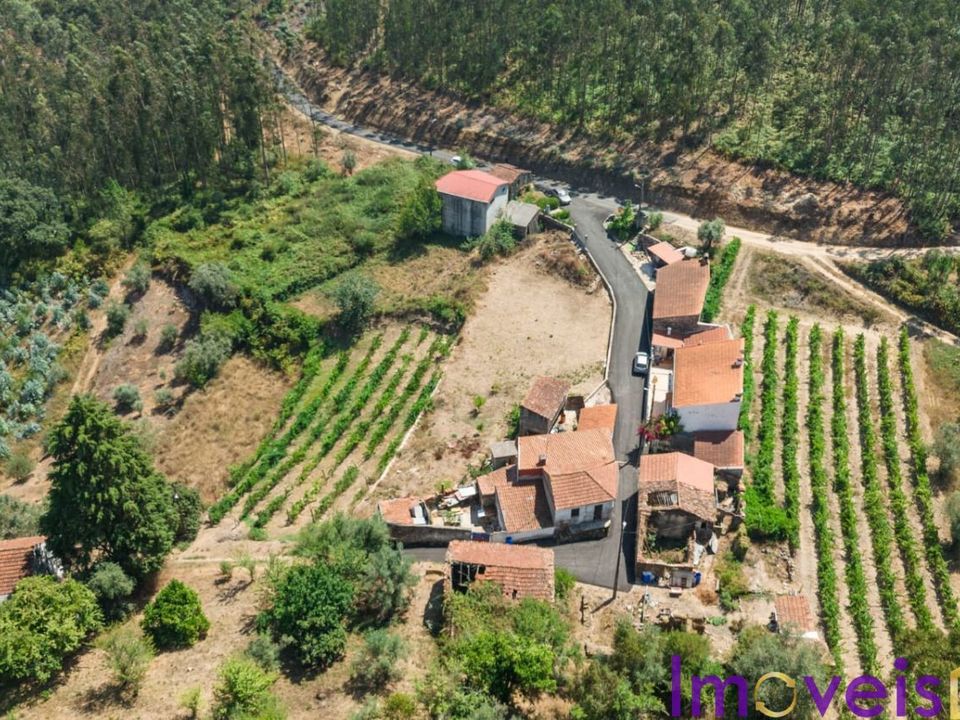 Villa i Penacova, Coimbra - foto 3