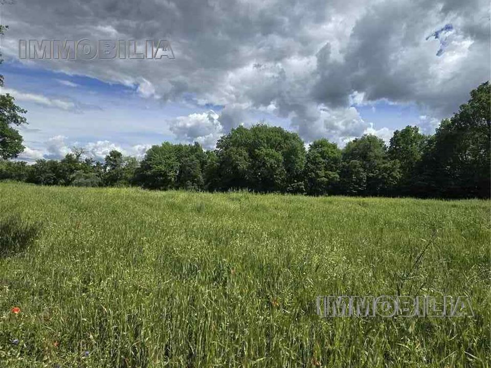 Helårsgrund i Citerna, Perugia - foto 2