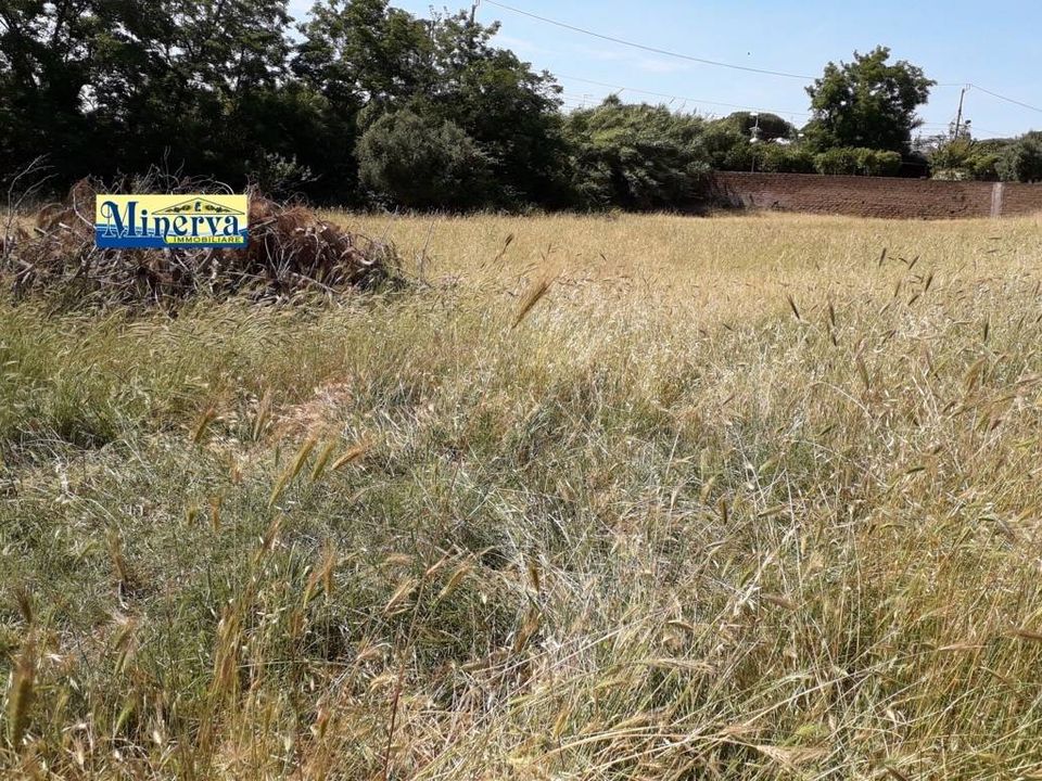 Helårsgrund i Anzio, Rome - foto 1