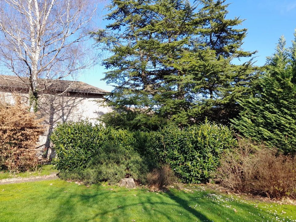 Villa i Romaneche-Thorins, Saone-et-Loire - foto 2