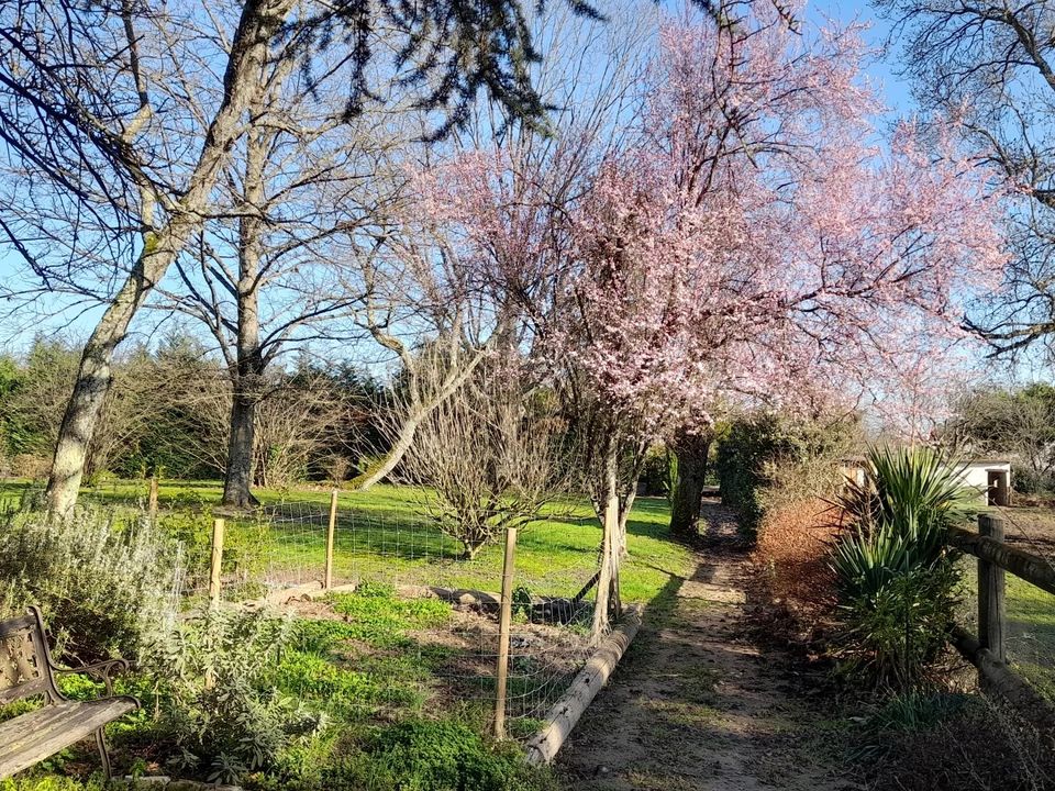 Villa i Romaneche-Thorins, Saone-et-Loire - foto 4