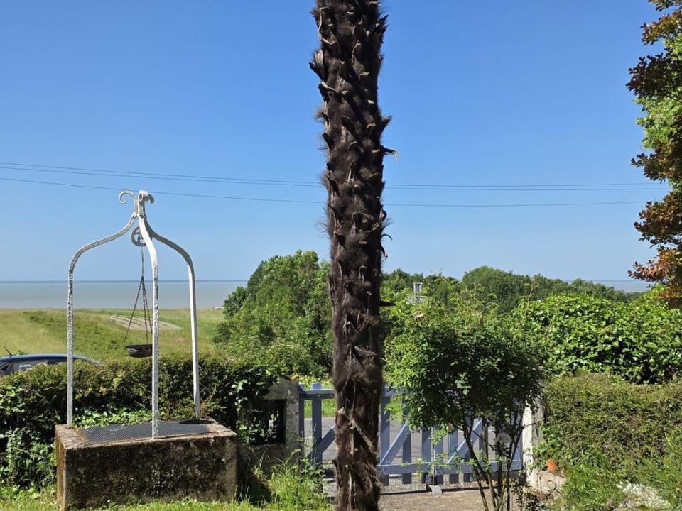 Villa i Chenac-Saint-Seurin-D'Uzet, Charente-Maritime - foto 3