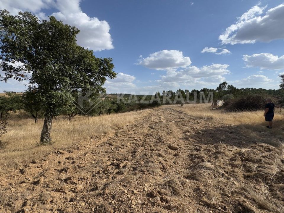 Ruinere i Ourique, Beja - foto 2