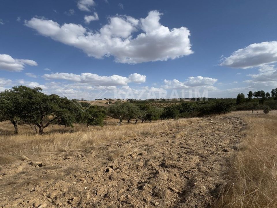 Ruinere i Ourique, Beja - foto 5