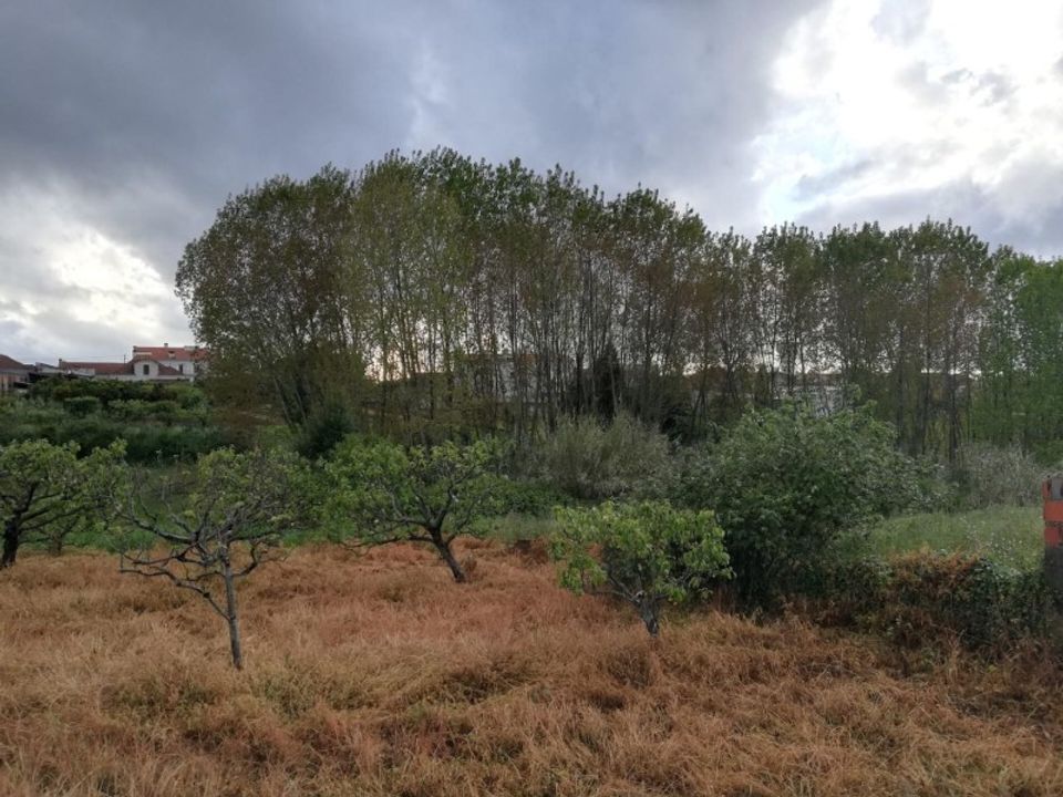 Helårsgrund i Sangalhos, Aveiro - foto 2