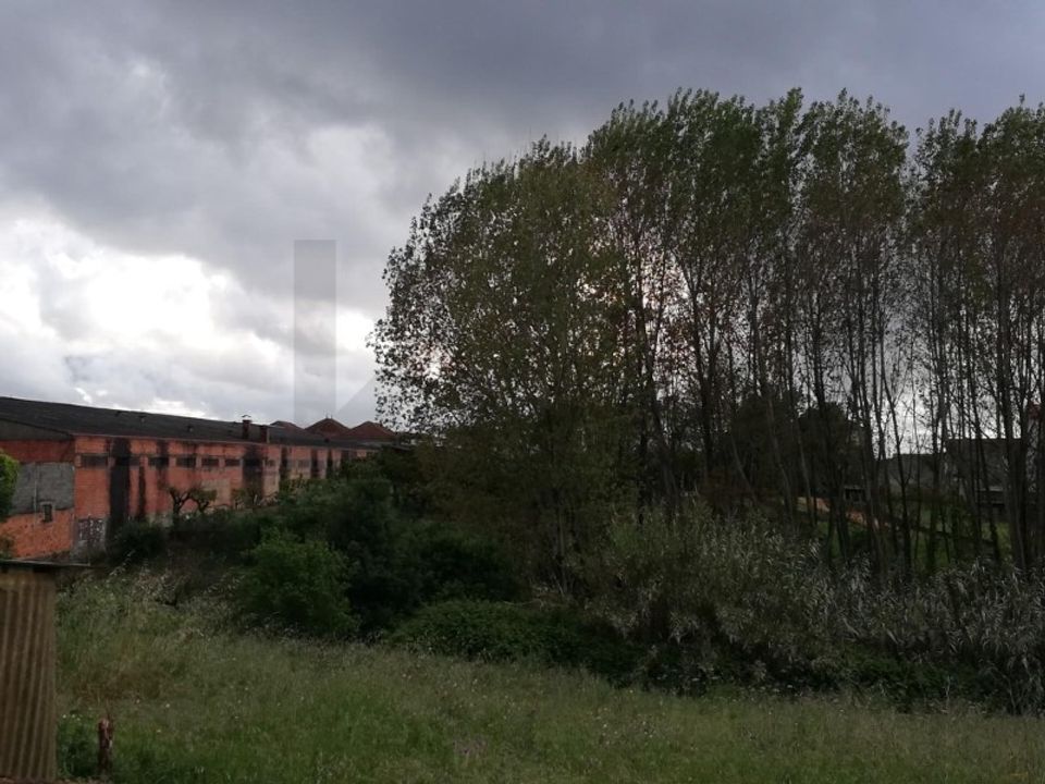 Helårsgrund i Sangalhos, Aveiro - foto 4