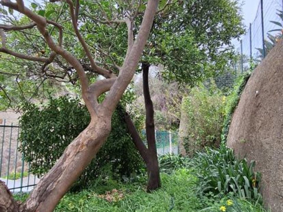 Villa i Messina, Messina - foto 3