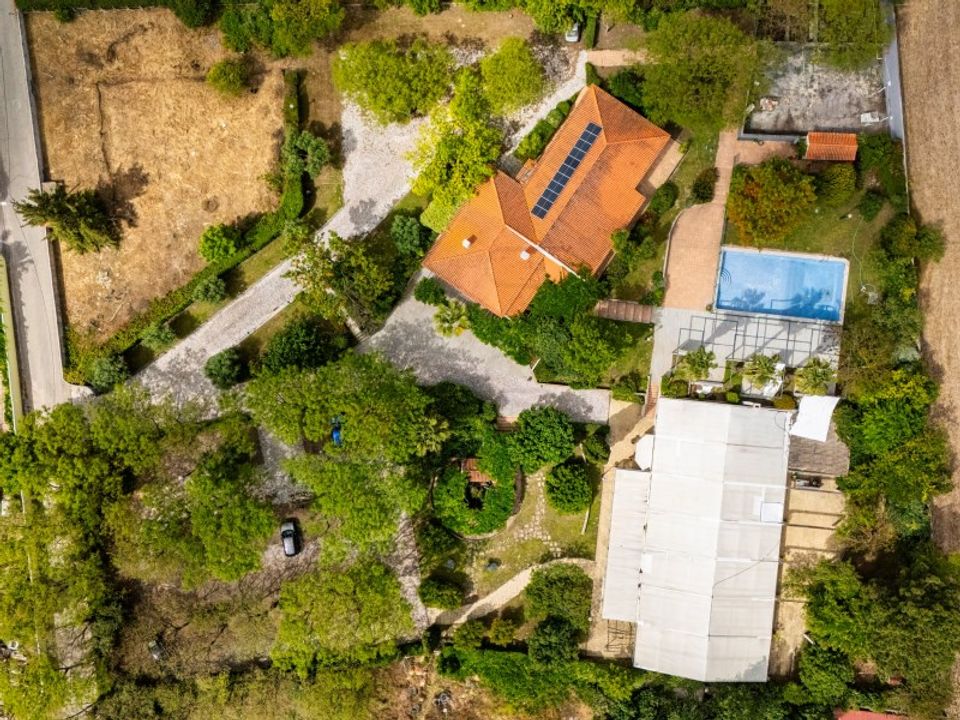 Farm i Palmela, Setubal - foto 1