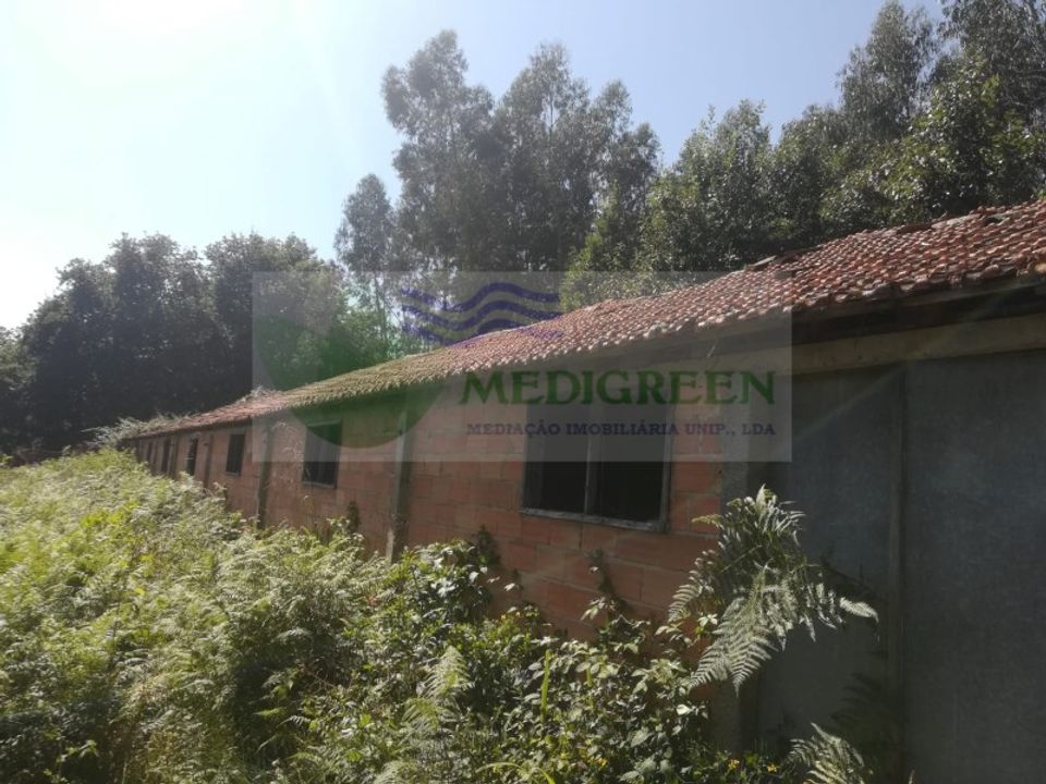 Erhvervsejendom i Sever do Vouga, Aveiro - foto 5