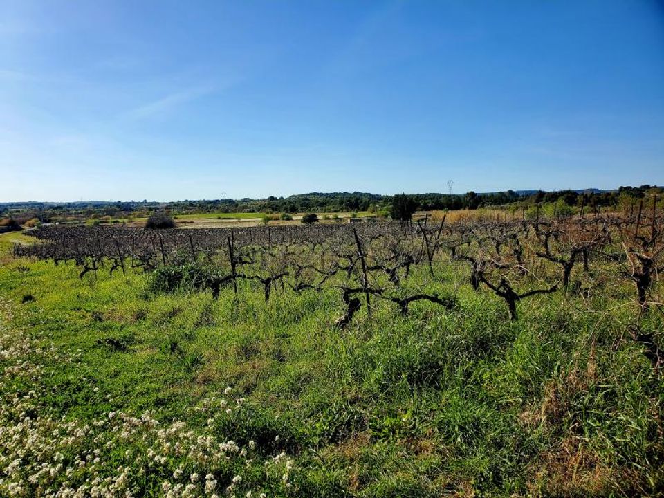 Helårsgrund i Loupian, Herault - foto 5