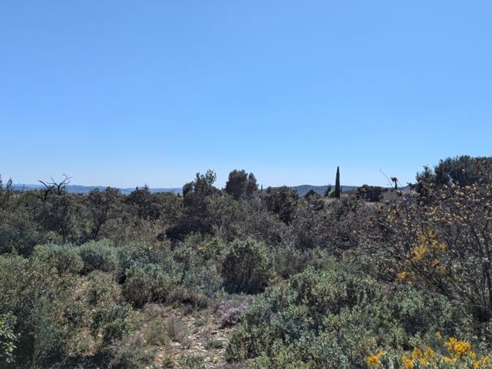 Tomt i Villeneuve-lès-Avignon, Gard - bilde 2
