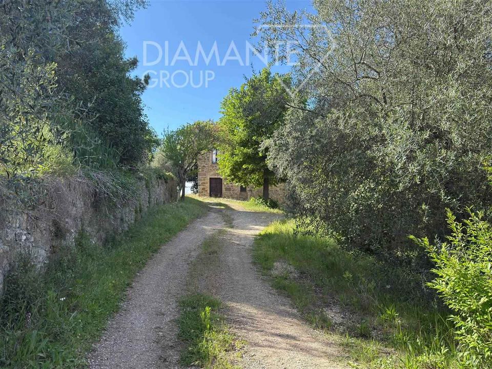 Farm i Montalcino, Siena - foto 3
