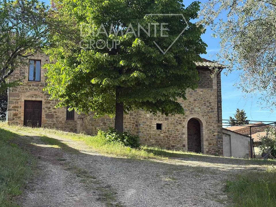 Farm i Montalcino, Siena - foto 4