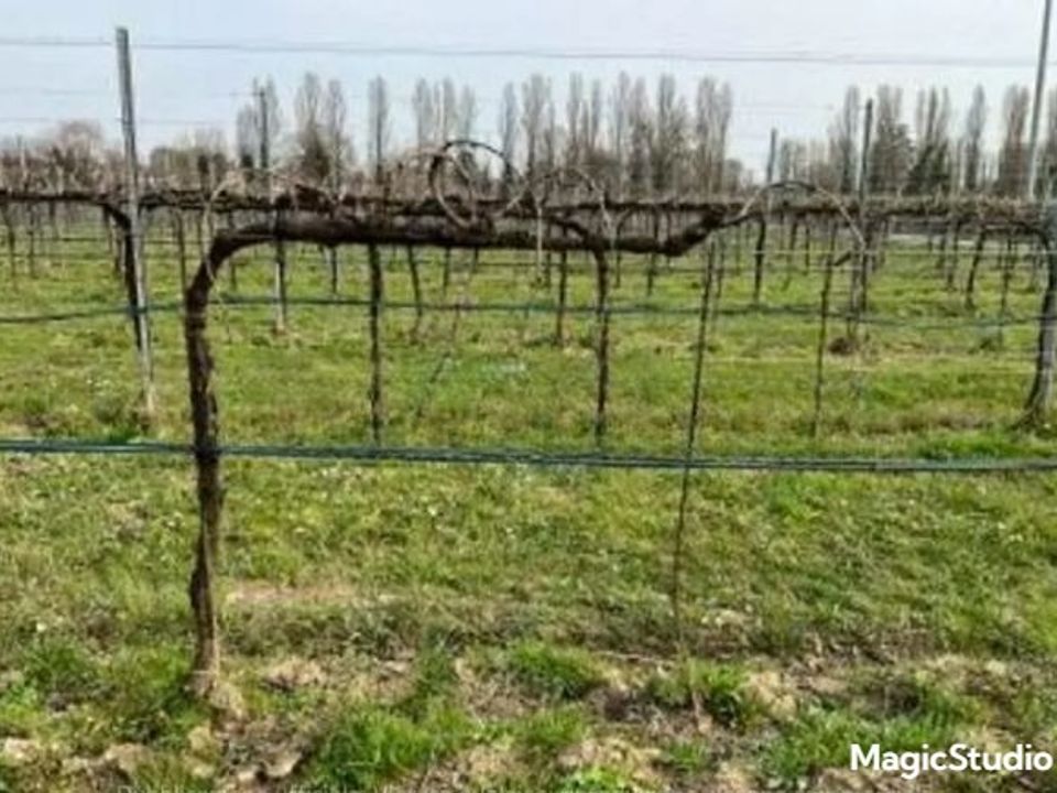 Helårsgrund i Silea, Treviso - foto 1