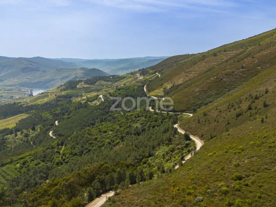 Granja a Sabrosa, Vila Real - foto 1