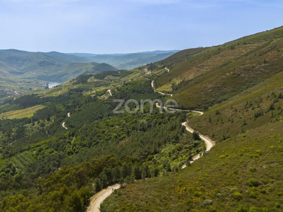 Granja a Sabrosa, Vila Real - foto 2