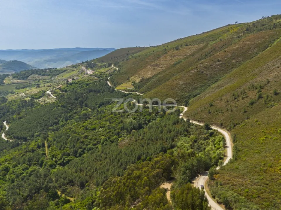 Granja a Sabrosa, Vila Real - foto 3