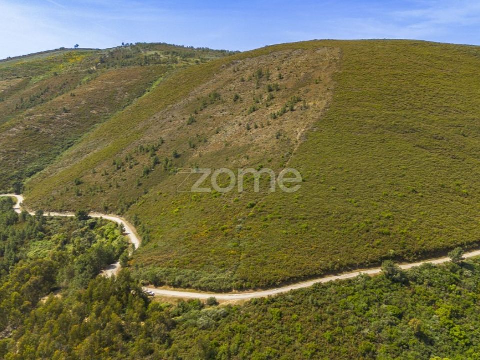 Granja a Sabrosa, Vila Real - foto 4