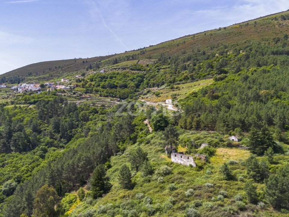 Granja a Sabrosa, Vila Real - foto 5