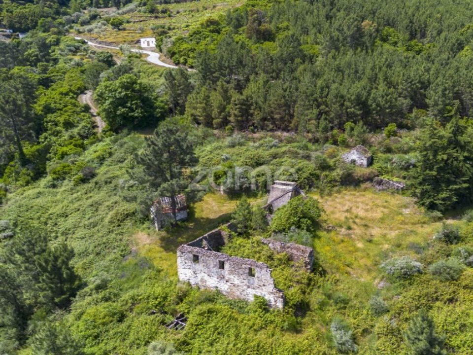 Farm i Sabrosa, Vila Real - foto 1