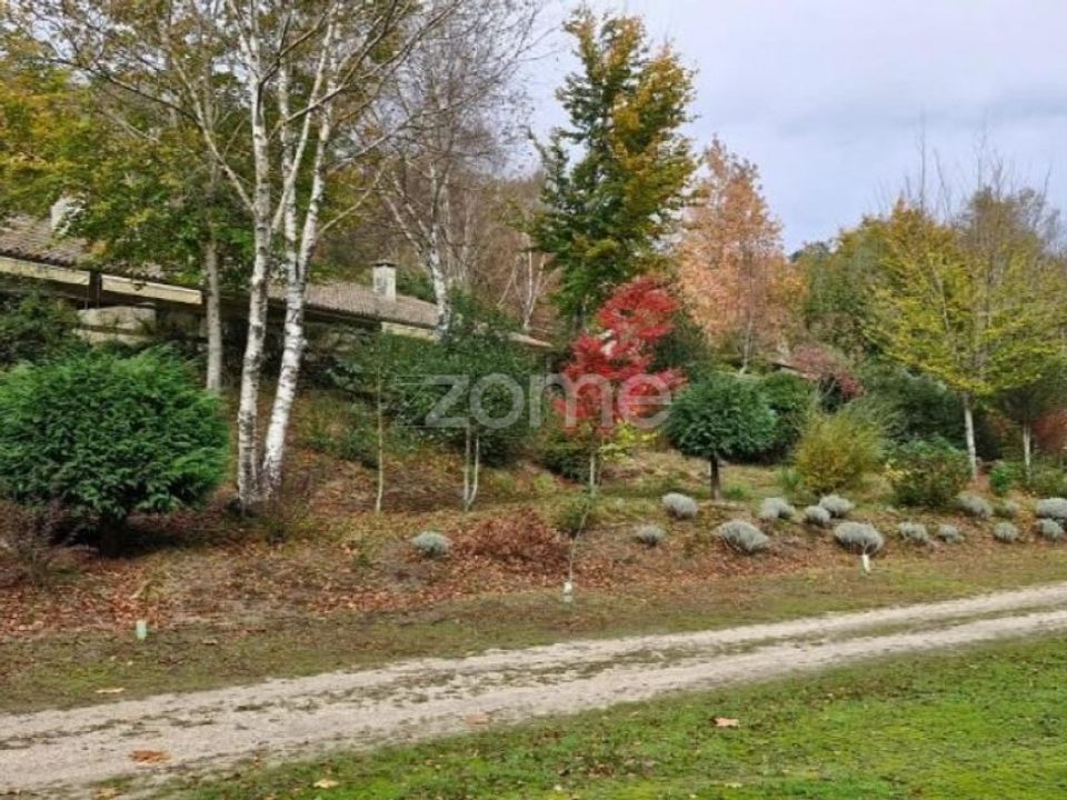 Farm i Celorico de Basto, Braga - foto 5