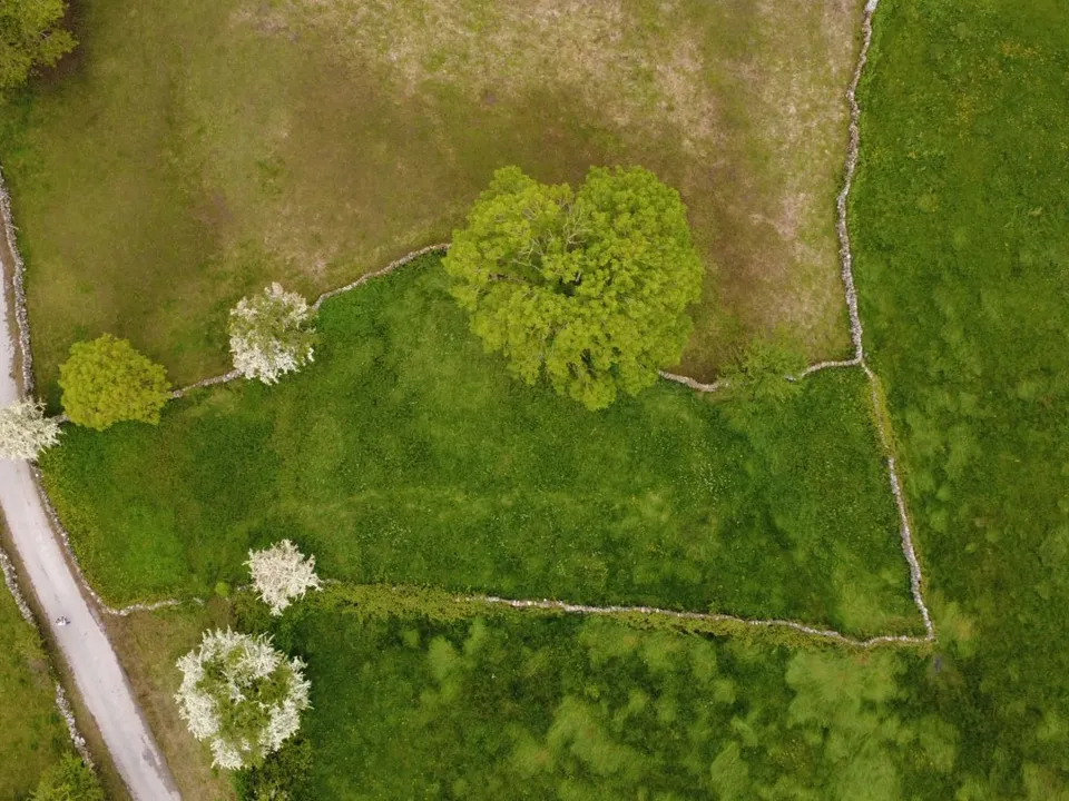 Działka: Villasuso (Campoo De Yuso), Cantabria – zdjęcie 2