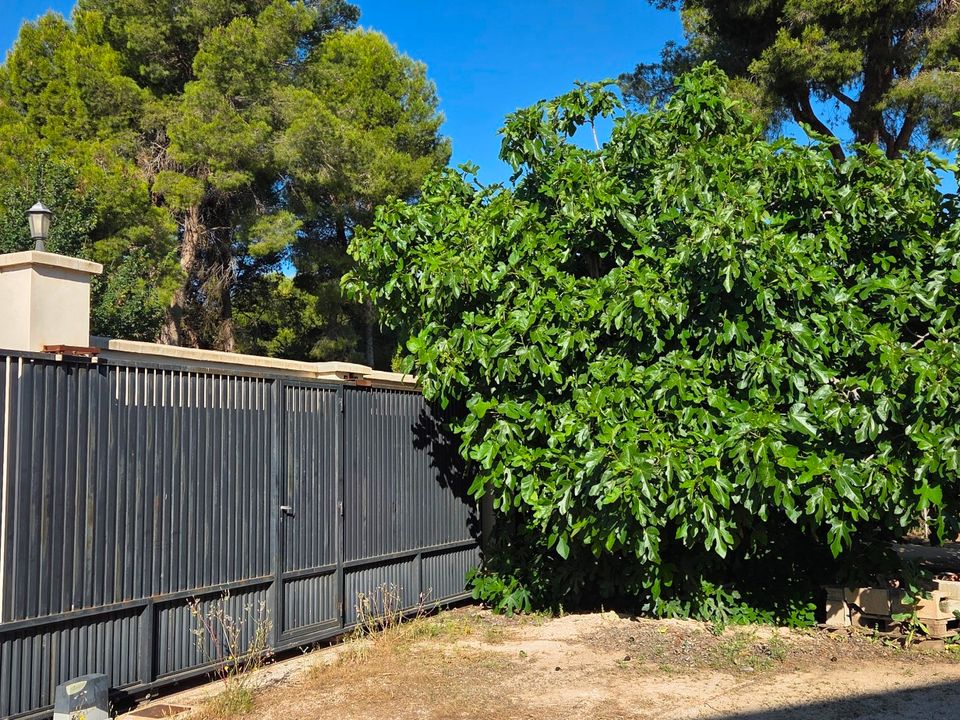 Herregård i Yecla, Murcia - bilde 5