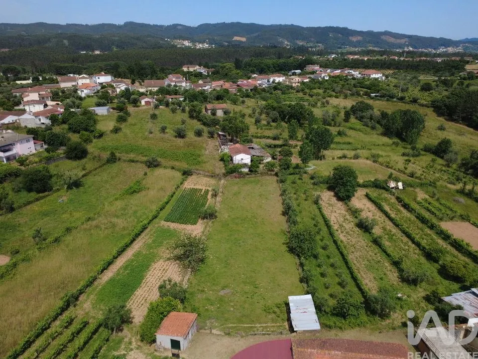 Helårsgrund i Vila Nova de Poiares, Coimbra - foto 3